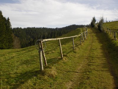 Alpe, vom Ulmer Thal ins Kreuzthal 