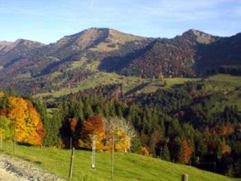 Blick zur�ck zum Hochgrat
