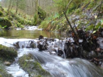 Ulmertalbach