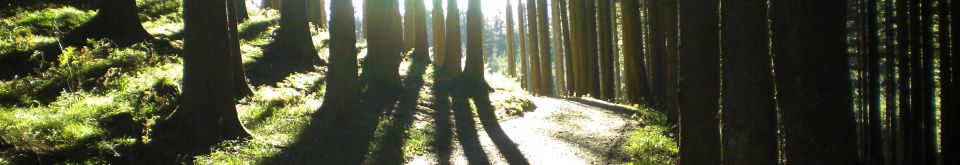 Wald